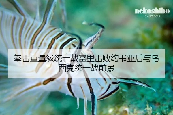 quan-ji-zhong-liang-ji-tong-yi-zhan-fu-li-ji-bai-yue-shu-ya-hou-yu-wu-xi-ke-tong-yi-zhan-qian-jing-3-900.jpg